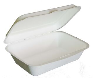 Sugar Cane Rectangular Clamshell - Green Choice